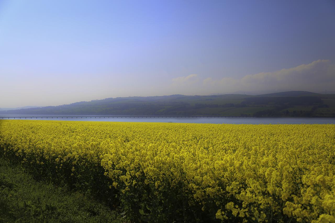 Henshire B&B Dingwall Εξωτερικό φωτογραφία